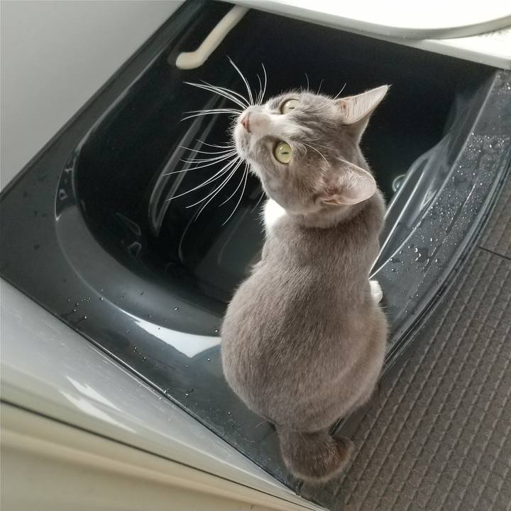 Ef0e789c 7da5 41fb 9f2b 24b00bc080aa 1621064488045