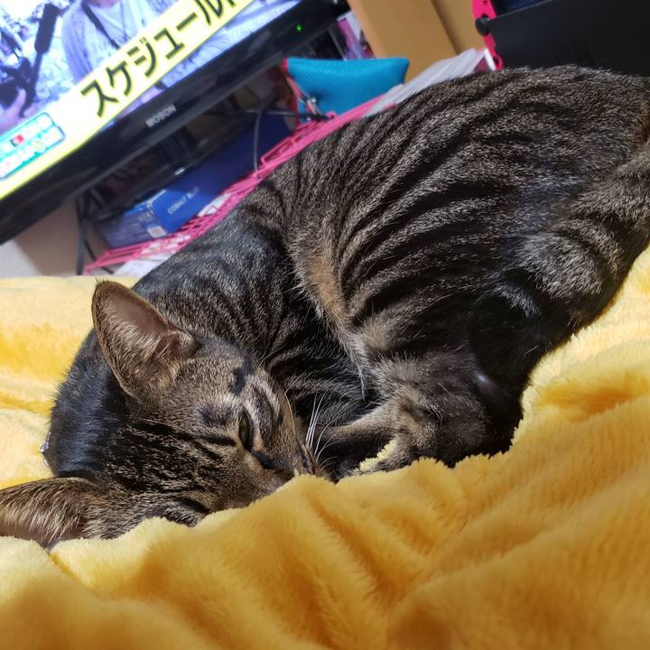 Ef0e7a02 68e6 4686 a20e b755244c16a3 1571227563888