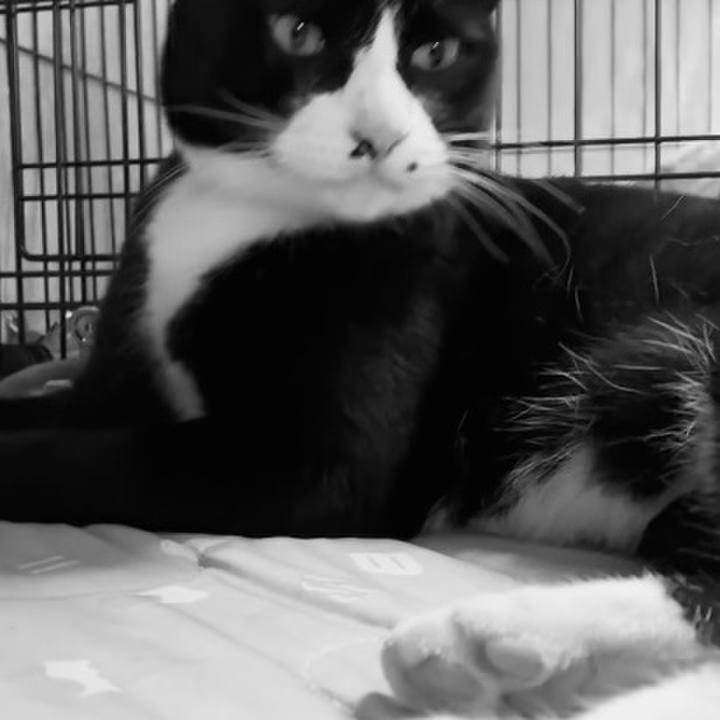 Ef0e9af1 bd33 40ca aeb9 a47ae16aa4c5 1753437478425