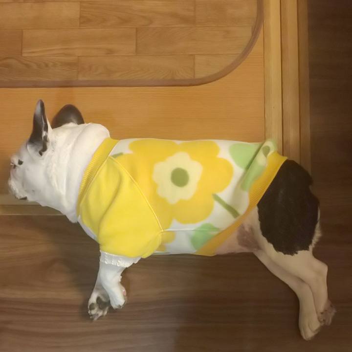 Ef0e9e0b f0f8 4519 b1b0 b110f69062e5 1637500101933