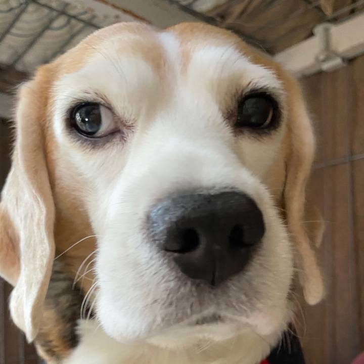 Ef0eadcc 9d58 4033 ab20 ae355af89588 1578972813155