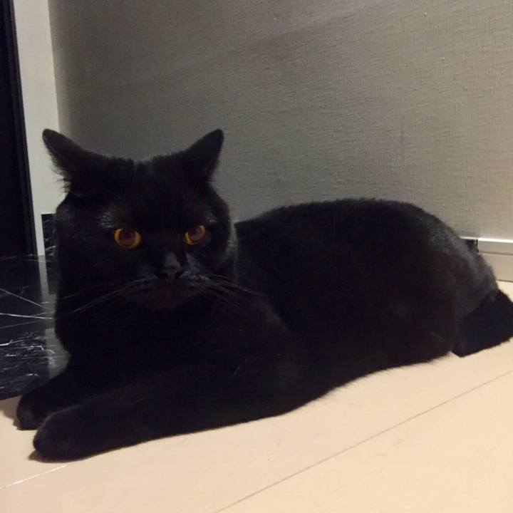 Ef0ec1b7 7399 4843 a14d 4ce5d572e5bb 1562507410894