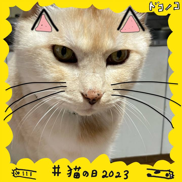 Ef0f0479 3543 4f42 ba07 4e457ef4a1ee 1677052994263