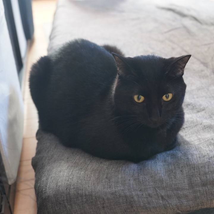 Ef0f328e 8fea 4ad4 9c86 b6d6de580489 1604449651736