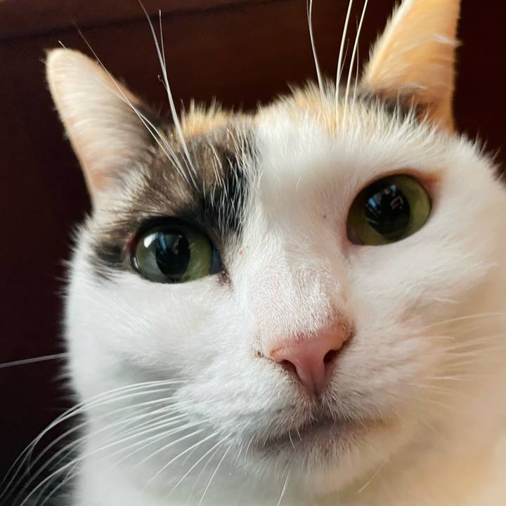 Ef0f4cb5 87b2 4947 b11c 18672cca38c3 1637632759563