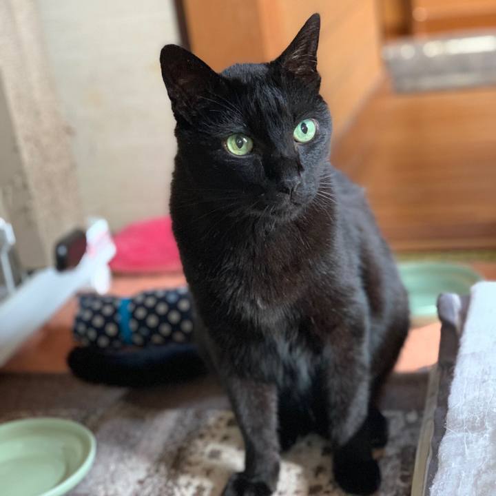 Ef0f5d45 e051 4010 bcee 76b1d1196aad 1558400161127