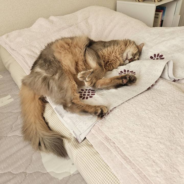 Ef0f5e3c 9c4a 4962 9f3c fca438e8cd43 1698561683043