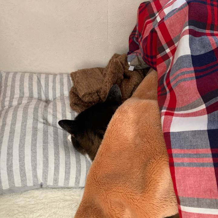 Ef0f73fa 55d0 4e6c 9732 eb2c20405d3a 1575000833440