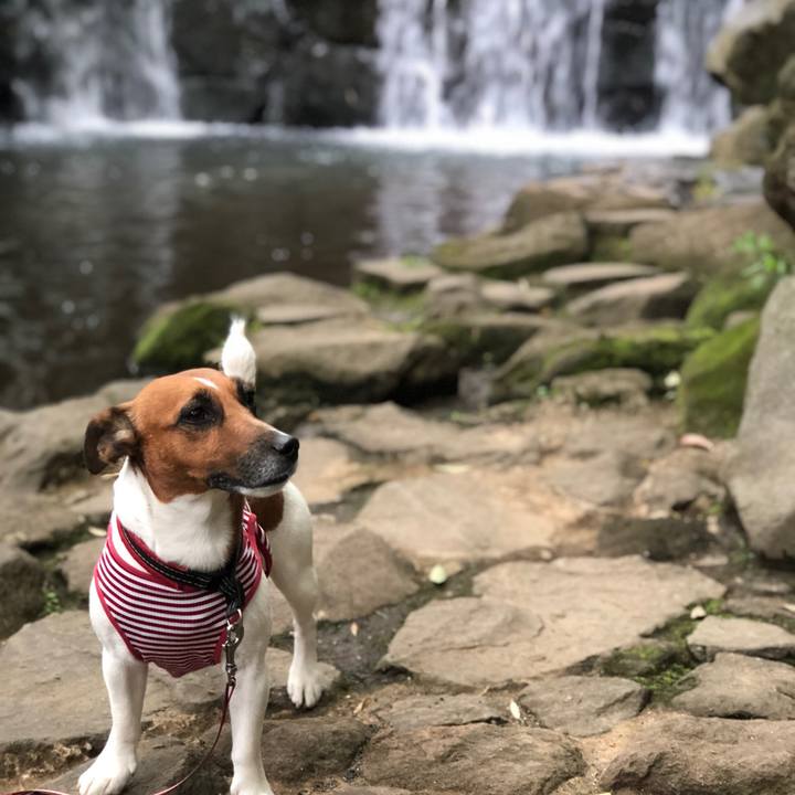 Ef0f743b 0fe6 4f78 b0c1 c2d33e21912e 1524956481437