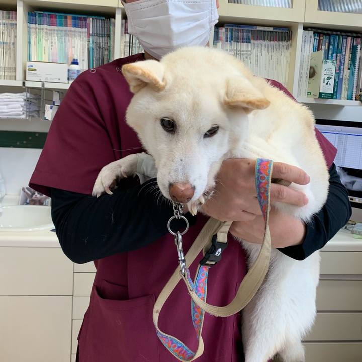 Ef0f753a d100 46e7 9c46 da4e91b4fe44 1648256376028