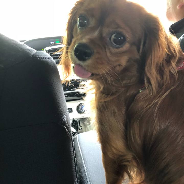 Ef0f8931 f70c 4896 af14 3415d010e24c 1525326125602