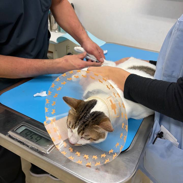 Ef0fcac4 c406 49b3 928e 8652eb99356b 1769762395052