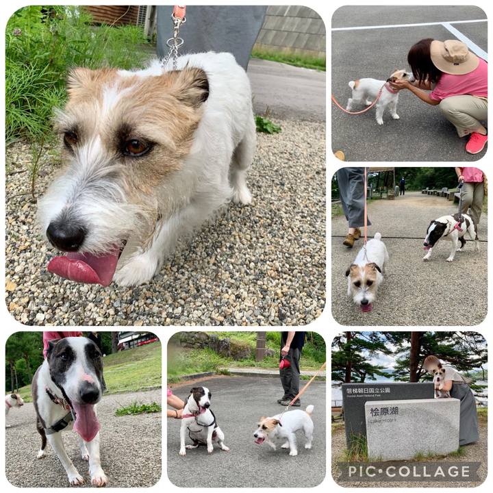 Ef0fdeb6 40d5 4982 89ac c51165027e1a 1658721986500