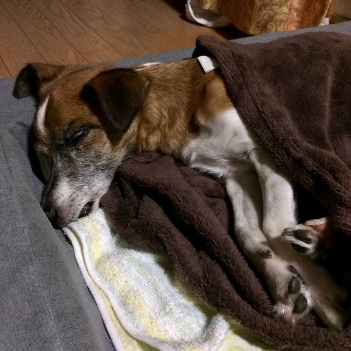 Ef0fe166 867c 4456 a3dc f4b096469d74 1507987972516