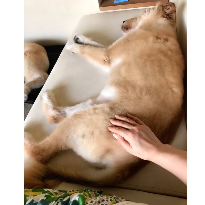 Ef0fe6e9 ef62 435f a489 b95d28dbc3be 1598506910971