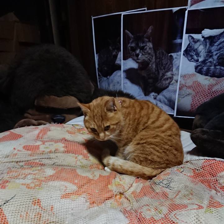 Ef101995 63aa 4c60 816b 9406681c6869 1608718680200