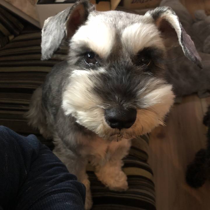 Ef105f20 02bb 4b89 9a1f c332b643ed6a 1521327156066