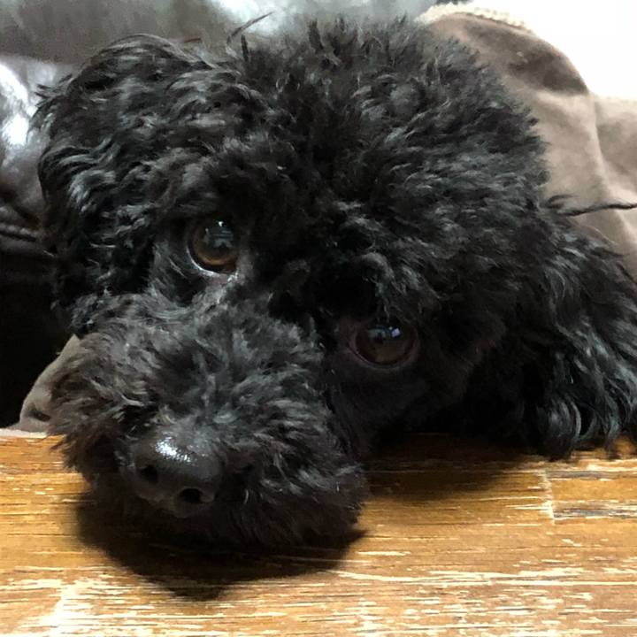 Ef106081 de17 47d2 80bc 99dac32dc9e7 1547978840811