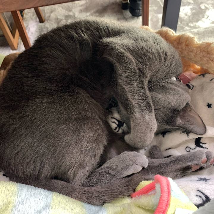 Ef1073ab a6c4 4829 a65d 438e7bb23153 1646793048414