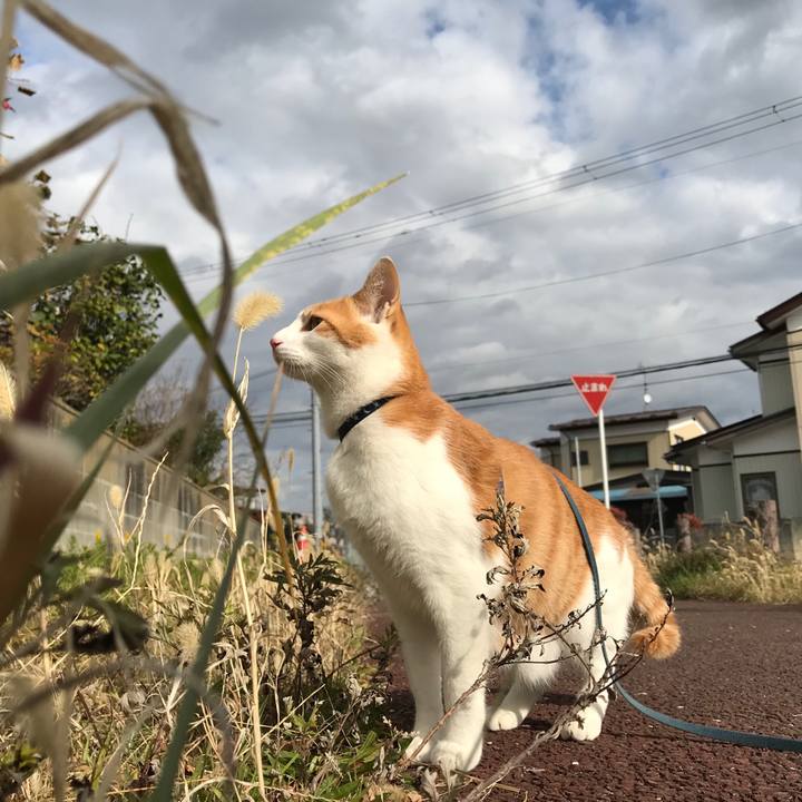 Ef10c1d5 3ed9 4d51 9d5b f1e93fe7fd96 1510895979578