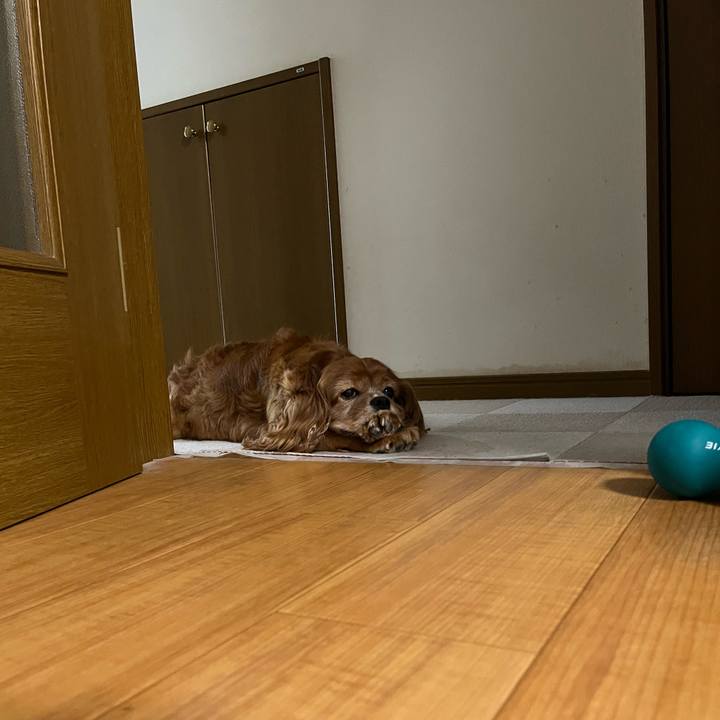 Ef10f1f5 1713 403d 9d5b 955c7116e017 1719268559244