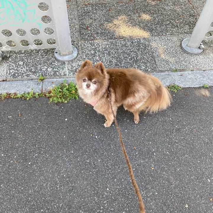 Ef10f34b 2e1f 460d 8d00 6d5e097dec93 1653089964629