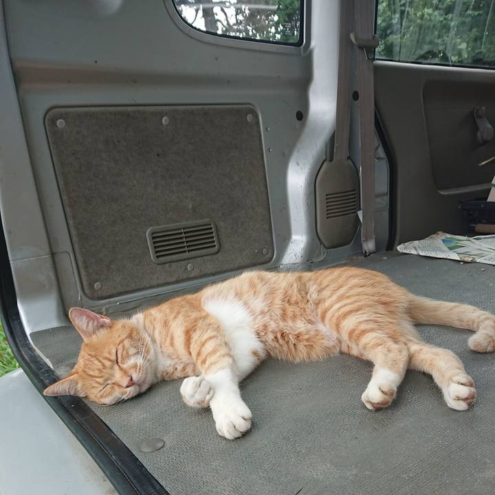 Ef1102c3 0295 45cc 9892 025d45ab933e 1597385699897