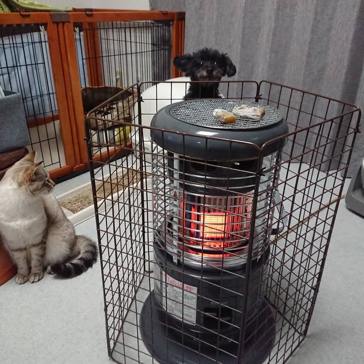 Ef110916 3a4a 4331 a002 87d1fa401e0b 1548327020080