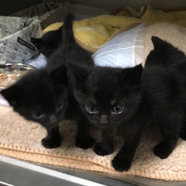 Ef111664 527d 4788 93e7 965524f5b3b4 1557623286813