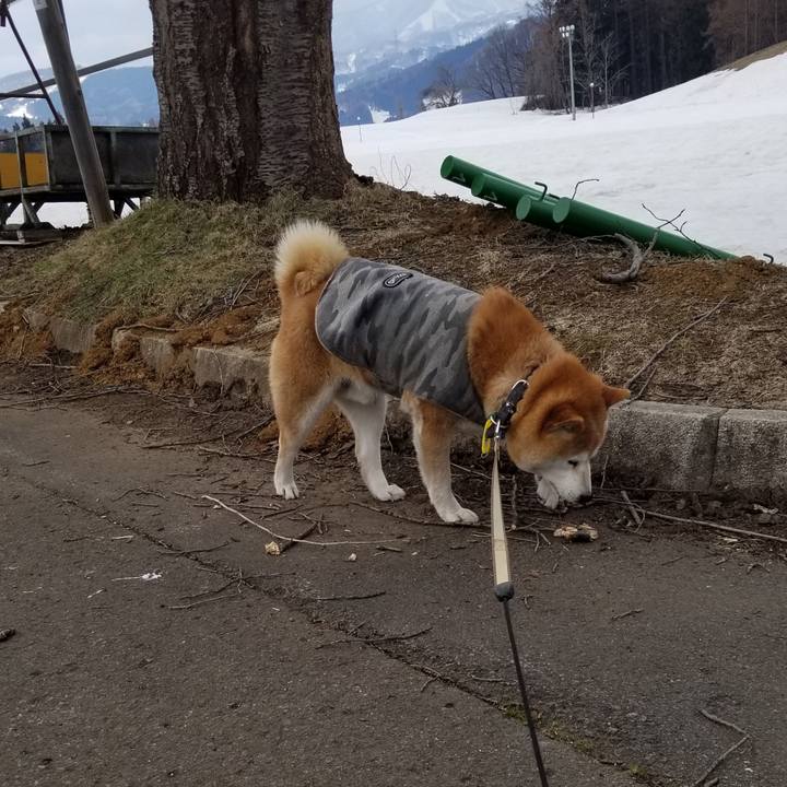 Ef1137bc b82d 416e b7ff 016ed80ed440 1648960818329