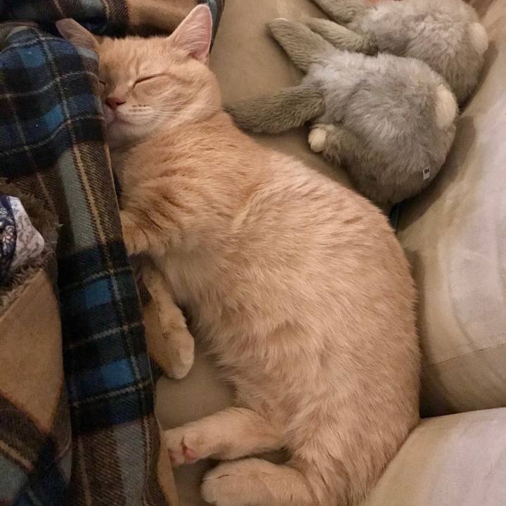 Ef113932 cf5b 41b7 9d2d 5078c97de56c 1523279709999