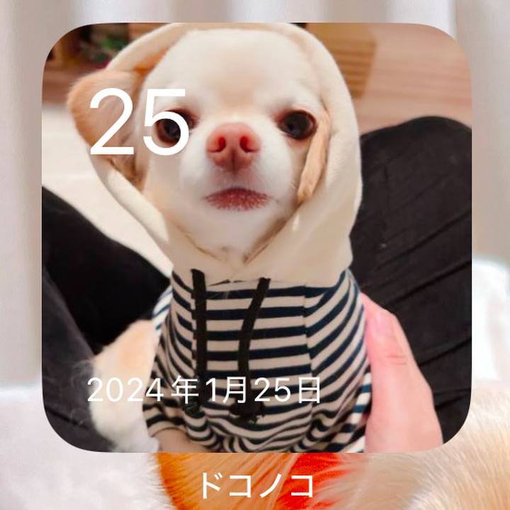 Ef1154f5 64df 4637 b107 375591e0606b 1737795782064