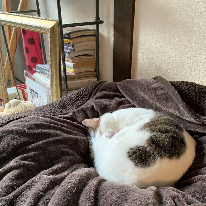 Ef115a7e d8ae 4fc1 88e5 8f9d0f3f5b94 1574929424198