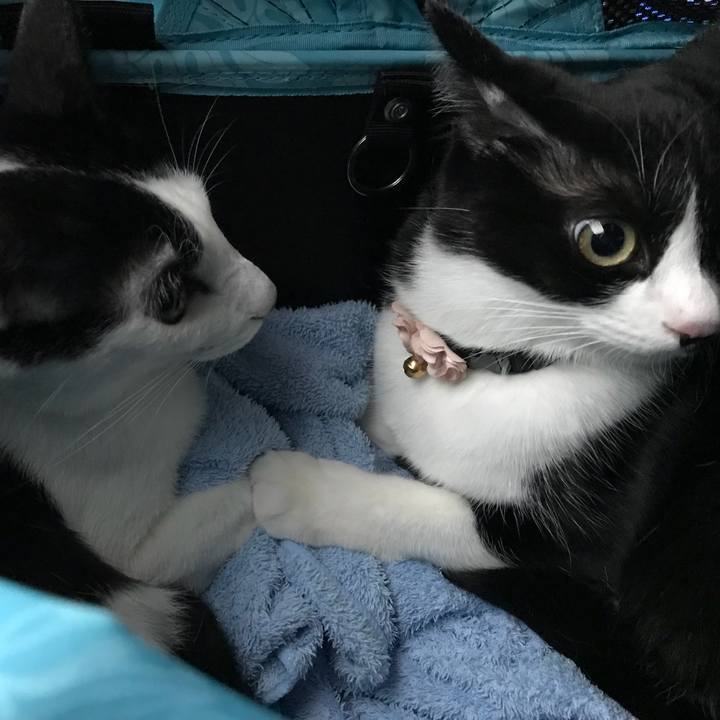 Ef1168bf aaac 4bcd adee fb0f2aa43355 1537247810682