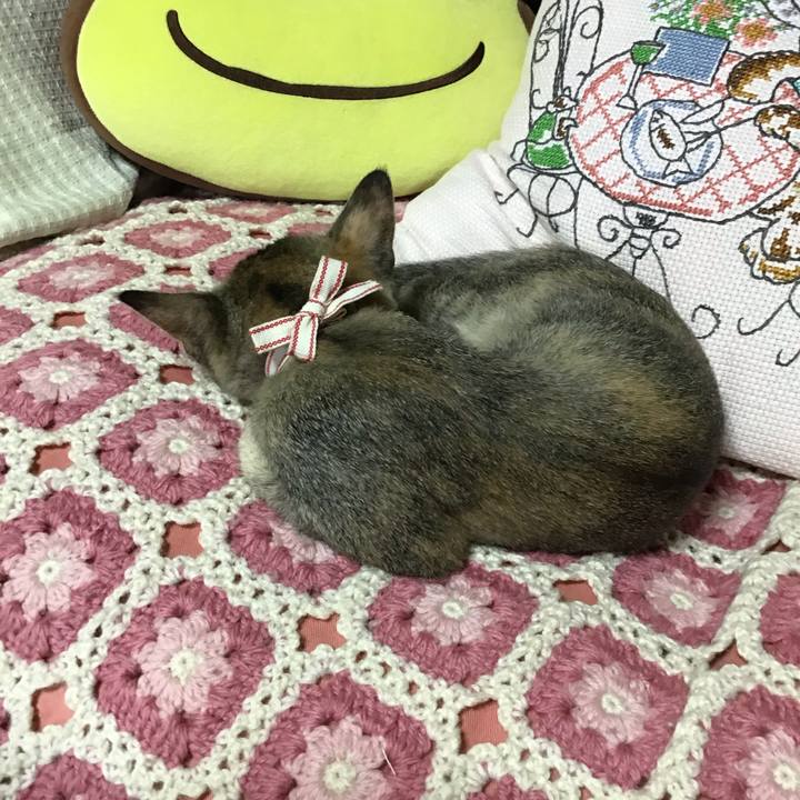 Ef117115 6bb4 4799 8b11 5e6d98872c51 1573119341027