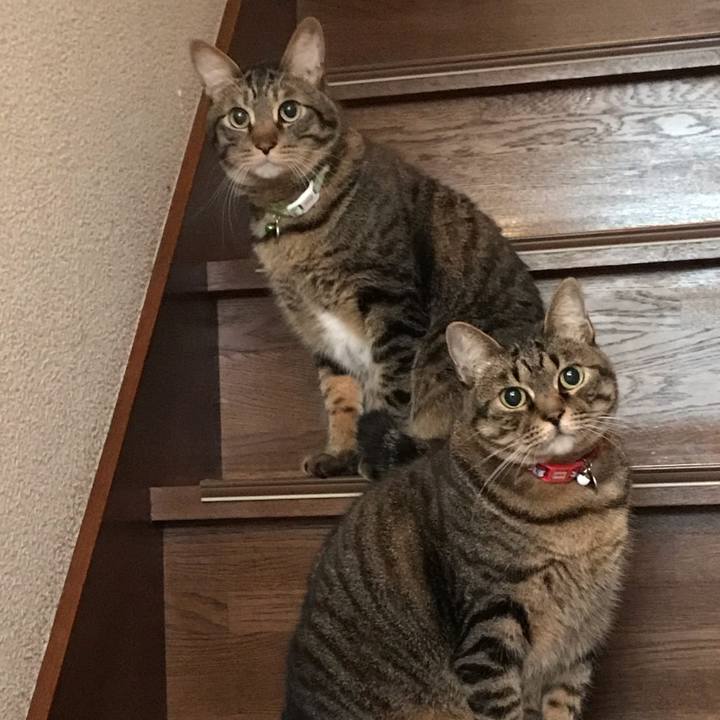 Ef118de3 388a 42e5 b5b4 1a51b55983f8 1577883373726