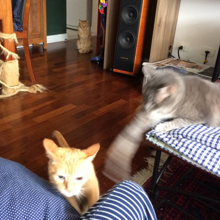 Ef122279 507b 40b3 8b7b 1294fb3dd195 1555162098905