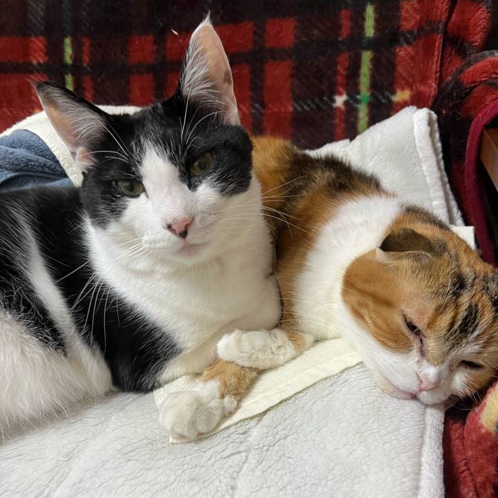 Ef12386f 1c48 4db7 a425 69fcd1258f39 1672923937176