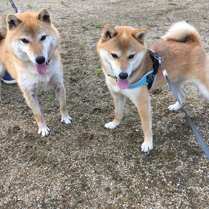 Ef12623f 888f 48cb 965c b1b061991f0a 1541474119342