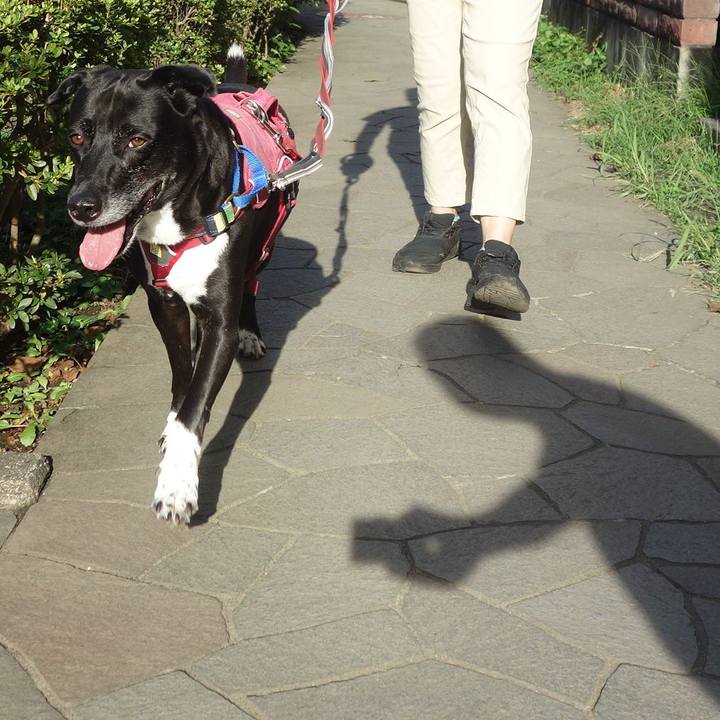 Ef12686c 9614 4bda bc29 d29aa3e71ef9 1695603139170