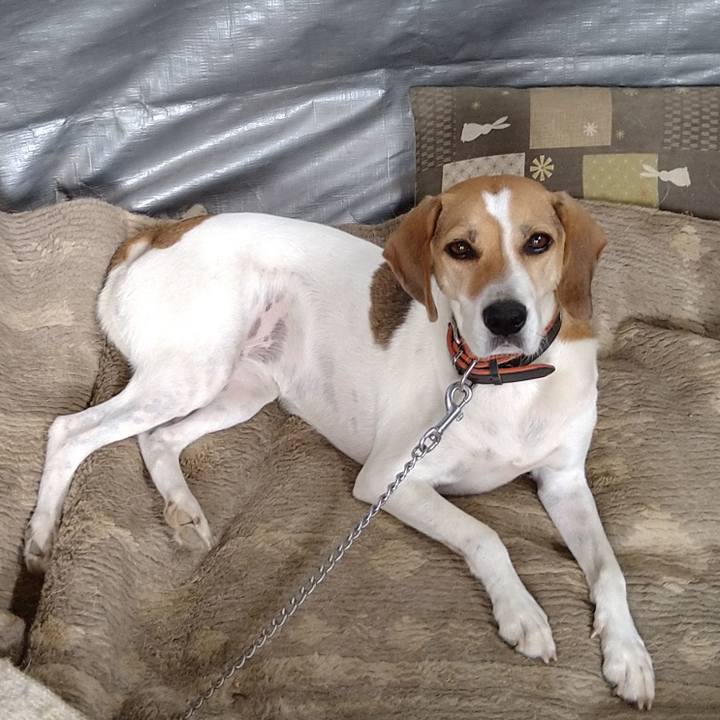 Ef1275d6 6dee 4137 b924 ca1d4af0a5ff 1632360632158