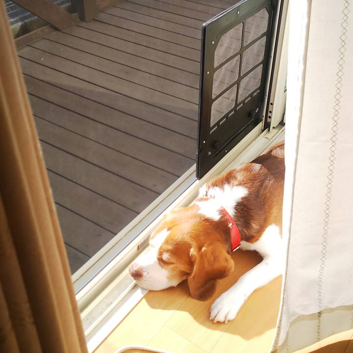 Ef12b671 a419 4b2d a078 5a31f289ac54 1636340982454