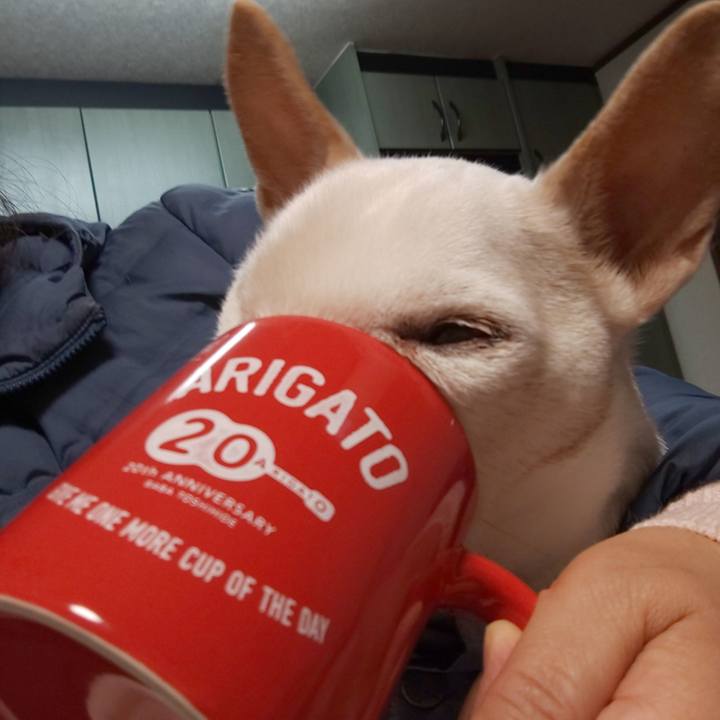 Ef12bd52 0918 4761 a6be ebd50906ff3b 1543446523314