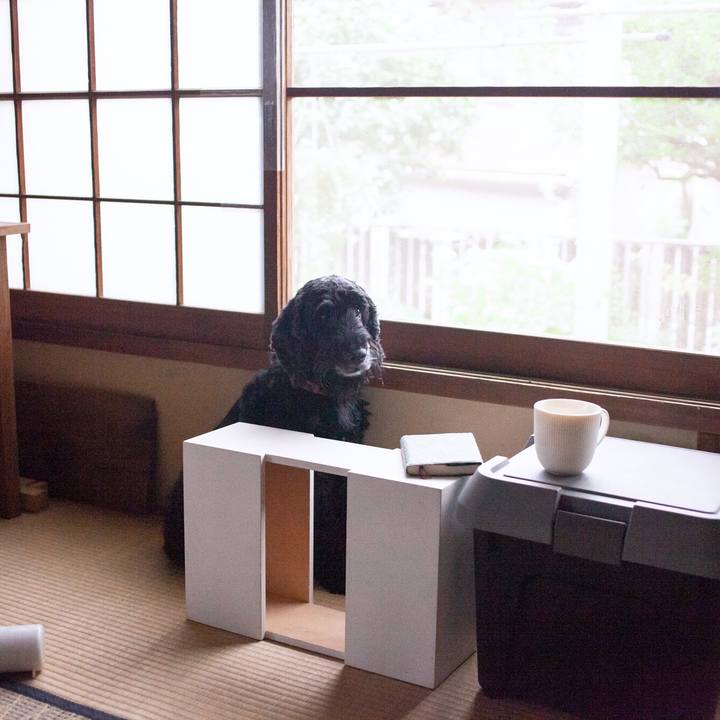 Ef12c352 4e6b 41e8 ba36 f747f6db6f51 1563260727855