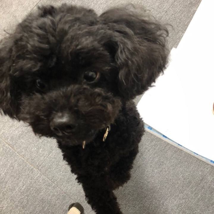 Ef12d0be 2048 4530 99a7 57d9287c9cba 1594366906468