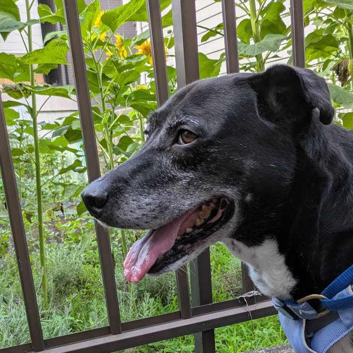 Ef12f770 48c1 44a8 85e8 82635d88e797 1751068417792