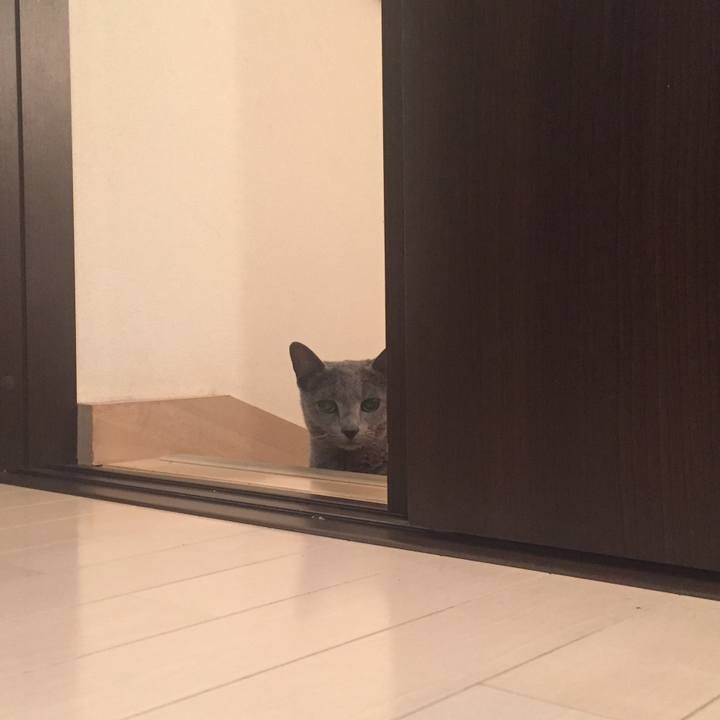 Ef136d07 5b81 429d 88b9 99cca739c0d5 1563404782332