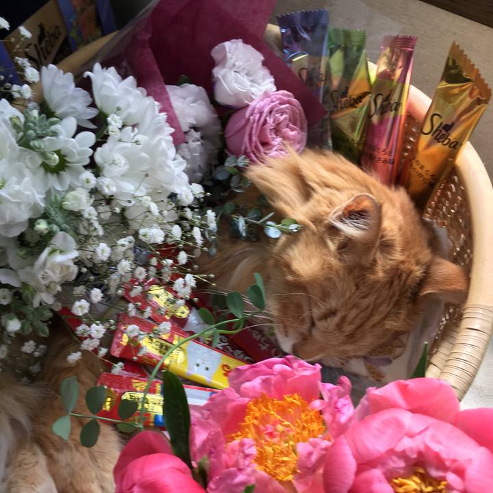 Ef136d22 fee8 4081 ad1c 7ae9a5776c5d 1523530264104