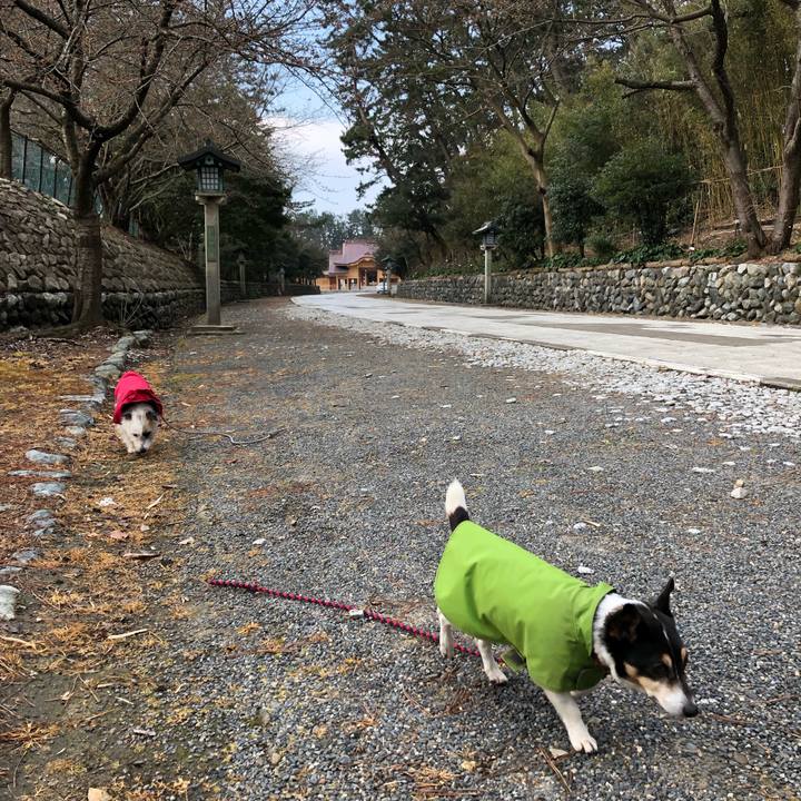 Ef137625 5732 4c52 94ff 2096e6990d68 1554163207654