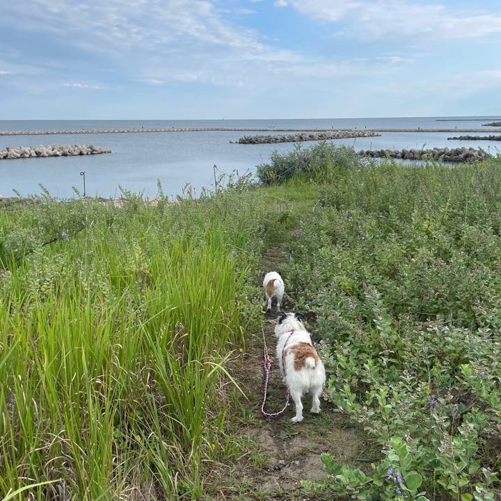 Ef13d1ea 7bb7 4984 90e0 06d2302de332 1757199376040